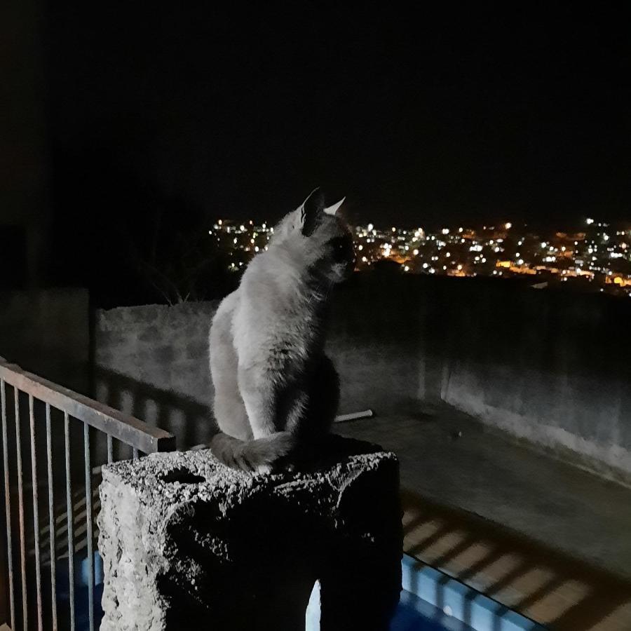 Casa De Temporada Βίλα Sao Lourenco  Εξωτερικό φωτογραφία