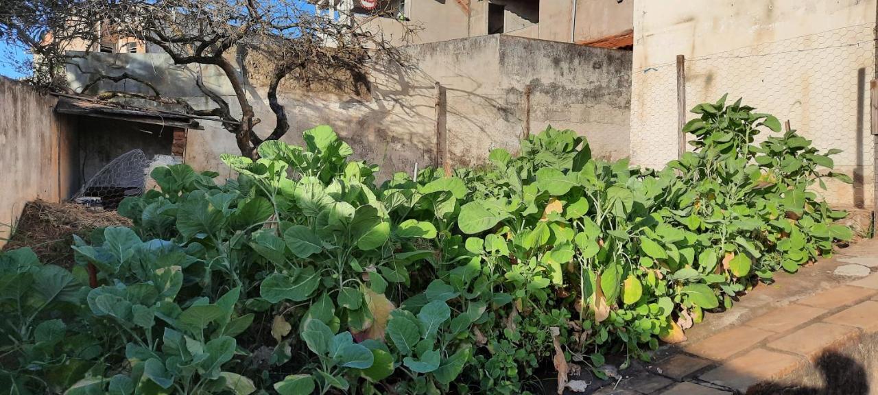 Casa De Temporada Βίλα Sao Lourenco  Εξωτερικό φωτογραφία